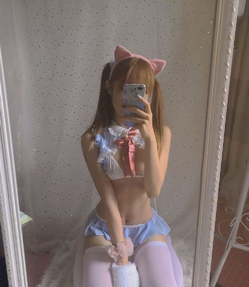 啄木鸟满天星法版免费