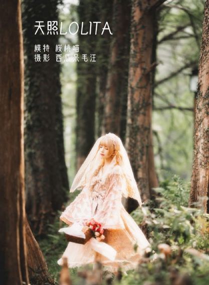 为什么老师在哪里